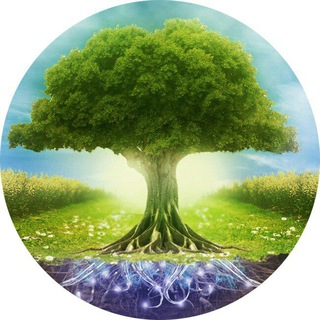 Логотип @savetheplanet - Спасём планету