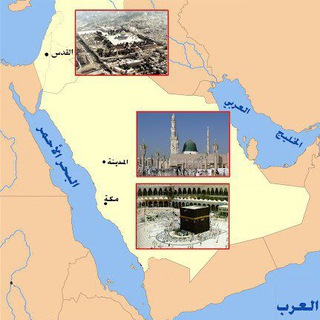 Логотип @savoiretreforme - Savoir et Réforme – علم وإصلاح