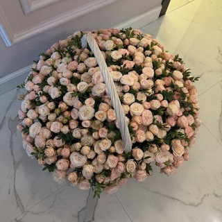 Логотип @saxiifeem - ن