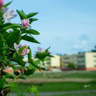 Логотип @sayansk_zima_online - Sayansk/Zima online