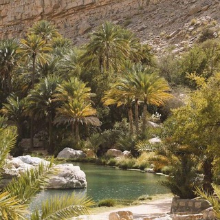 Логотип @sayf_da1wat - 𝚂𝙰𝚈𝙵_𝙳𝙰1𝚆𝙰𝚃