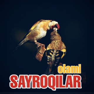 Логотип @sayroqilarolami - 🌟САЙРОҚИЛАР ОЛАМИ 🌟
