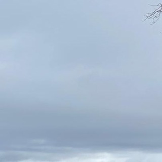 Логотип @sbessarab - Светлана Бессараб