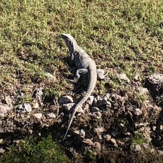 Логотип @sbity_kosmonaut - Сбитый космонавт