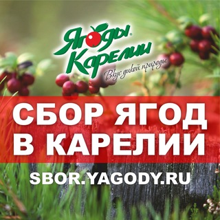 Логотип @sbor_yagody_ru - SBOR.YAGODY.RU
