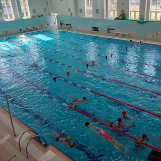 Логотип @sc_swim_lyceum_90 - СК Лицей 90 бассейн