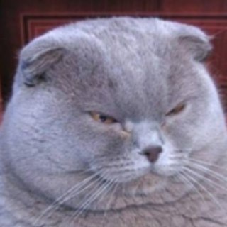 Логотип @scalabin - Scala bin