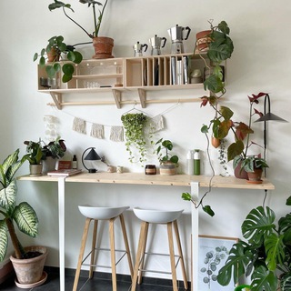 Логотип @scandiwildberries - Scandi home 🪴 Cottagecore ☀️ Wildberries 😍