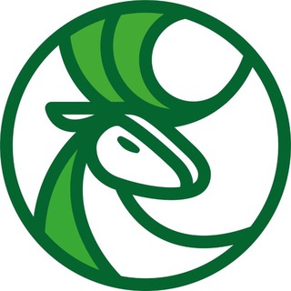 Логотип @scantour - Путешествия по Карелии и России | СканТур