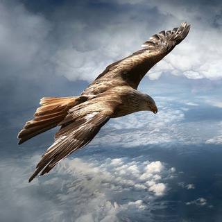 Логотип @schamanischesbewusstsein - Schamanisches Bewusstsein