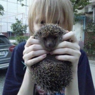 Логотип @schizoposter - schizoposter