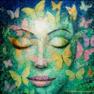 Логотип @schmetterlingseelengarten - ꧁🌟 SᑕᕼᗰETTEᖇᒪIᑎG ꕥ SEEᒪEᑎGᗩᖇTEᑎ~🌟꧂ ꕥ