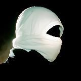 Логотип @schonwp - schon wallpaper