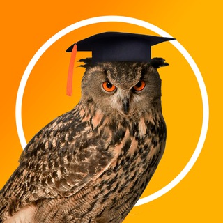 Логотип @school_textbook - Школьный учебник- учителям, педагогам