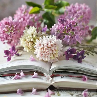 Логотип @schoolaliterateratura - ЕГЭ и Литература 2025|schoolaliteratura.Ru