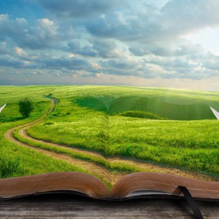 Логотип @schooloflife_1 - Школа жизни: психология отношений и развития