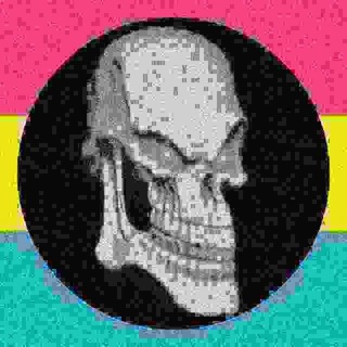 Логотип @schroomsbs - SKELETON'S OLD CHANNEL