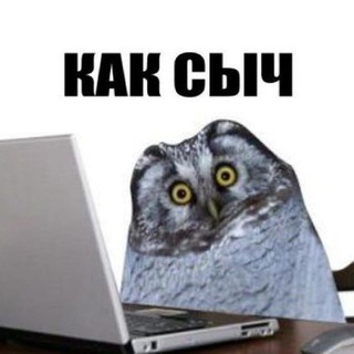 Логотип @schullzchannel - Schullz Channel