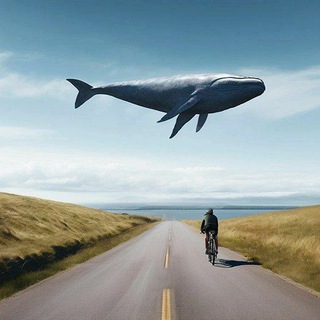 Логотип @schultz_ilya - Илья Шульц