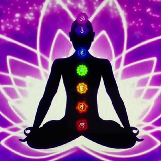 Логотип @schumann_frequenz - Body Code 🟣🟣🟣 FreQuenzen