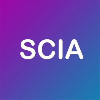 Логотип @sciadnu - Student committee of international affairs of DNU