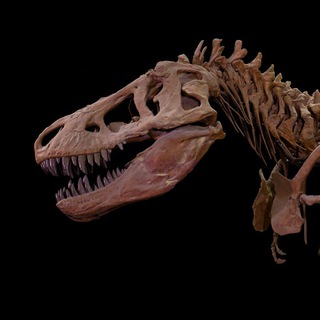 Логотип @science_hist - History of science