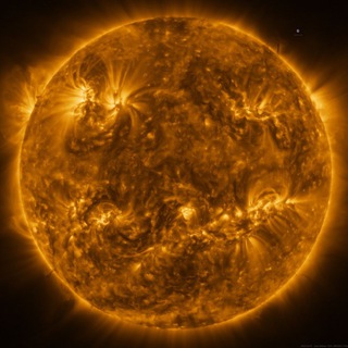 Логотип @sciencefonk - Науч-фонк