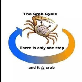 Логотип @scienceshitpost - Science Diagrams that Look Like Shitposts