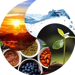 Логотип @scienzaartesalute - Scienza e Arte della Salute