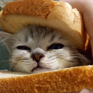 Логотип @screeeeewt - Mew - IRL