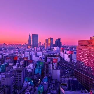 Логотип @screensavers_foryou - Заставки для ТЕБЯ📱