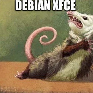 Логотип @scrofa_228 - ЖМУ/Пинус