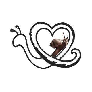 Логотип @scsmem - Свой канал с мемами