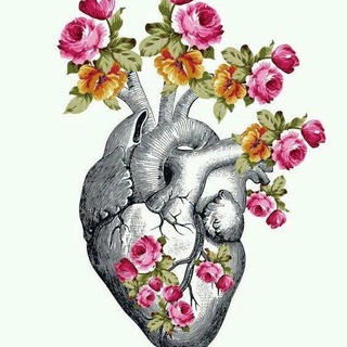 Логотип @scudotex - Здоровея. О здоровье