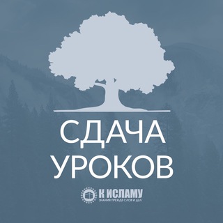 Логотип @sdacha_urokov - Сдача уроков