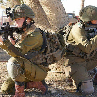 Логотип @sdfcgv1234 - הסטטוס הביטחוני בטלגרם