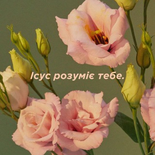 Логотип @sdhbp - Jesus is your hope🏩🩷