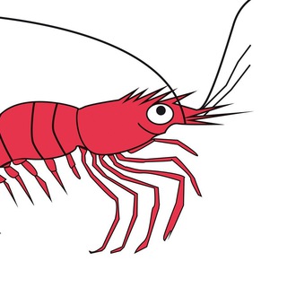 Логотип @sdshrimp - КСД