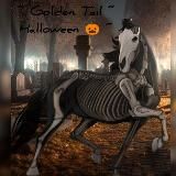 Логотип @seabreezelife - 𝑺𝒆𝒂 𝑩𝒓𝒆𝒆𝒛𝒆/𝐻𝑂𝑅𝑆𝐸 𝐿𝐼𝐹𝐸