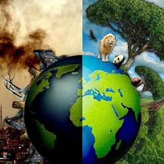 Логотип @searchingthemind - Поиск ответов