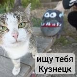 Логотип @searchkuznetskkk - searchkuznetskkk