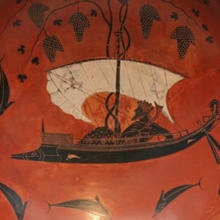 Логотип @seashellfreedom - Seashell freedom