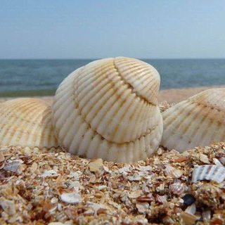 Логотип @seaside_vacation - Отдых на море|Гостиницы|Отели на море|Черное море|Бронирование отелей|Азовское море|Аренда квартир|Жилье на море|Туризм|Отпуск