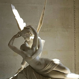 Логотип @secondforrchance - second forrchance