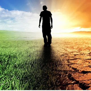 Логотип @secondorinascimento - Anna e il Secondo Rinascimento