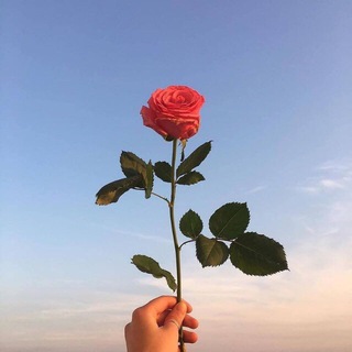 Логотип @seconds7 - 145seconds🎶