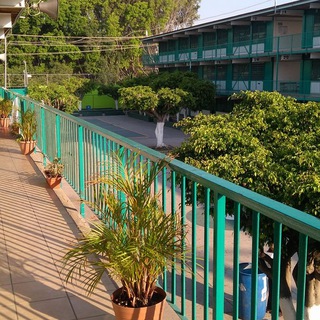 Логотип @secundaria8mixtagdl - SECUNDARIA 8 MIXTA