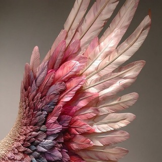 Логотип @see7en_fed7 - SEE7EN_FEDERN 🕊️