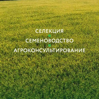 Логотип @seedsinrussia - Семеноводство в России 🇷🇺