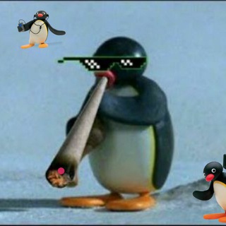 Логотип @seguaci_di_pingu - Seguaci di Pingu